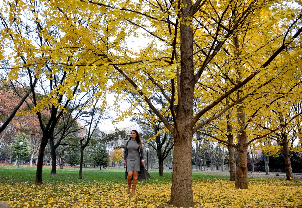 Bursa sonbaharda bir başka güzel (FOTO GALERİ)