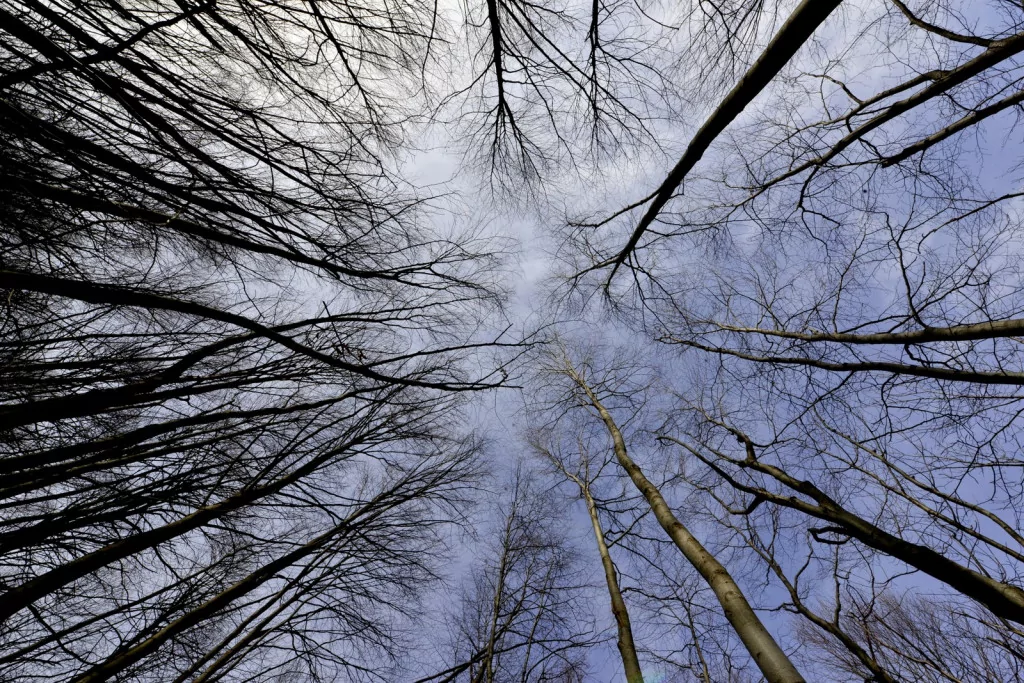 Bursa sonbaharda bir başka güzel (FOTO GALERİ)