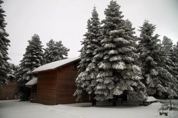 Bursa'nın gözdesi 'köşk evleri'