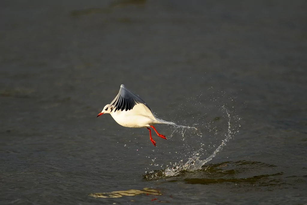 Bursa'nın bir başka cennet köşesi
