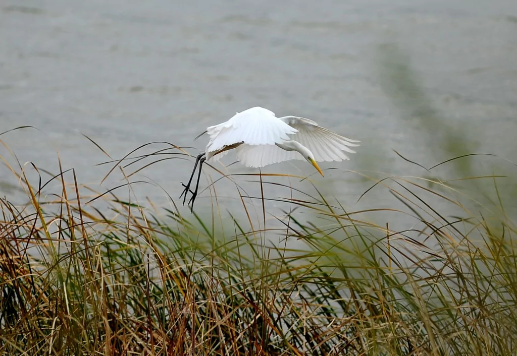 Bursa'nın bir başka cennet köşesi