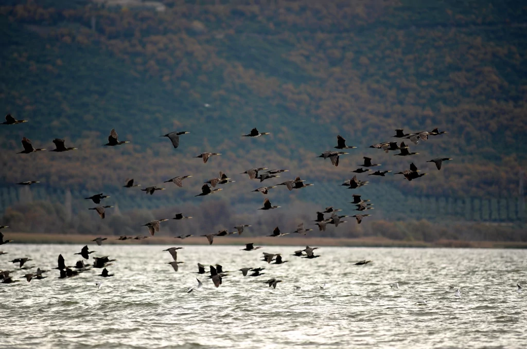 Bursa'nın bir başka cennet köşesi