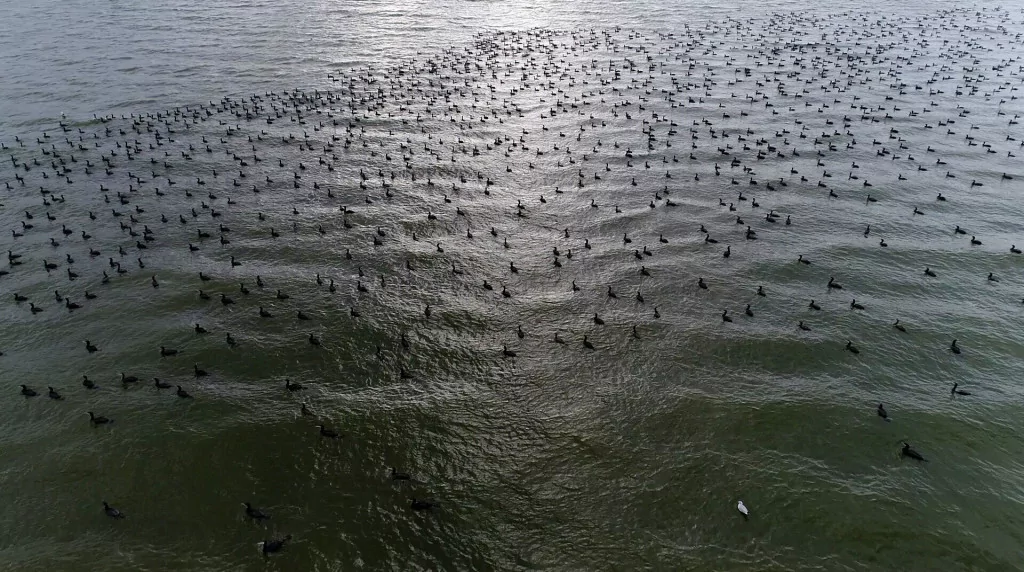 Bursa'nın bir başka cennet köşesi