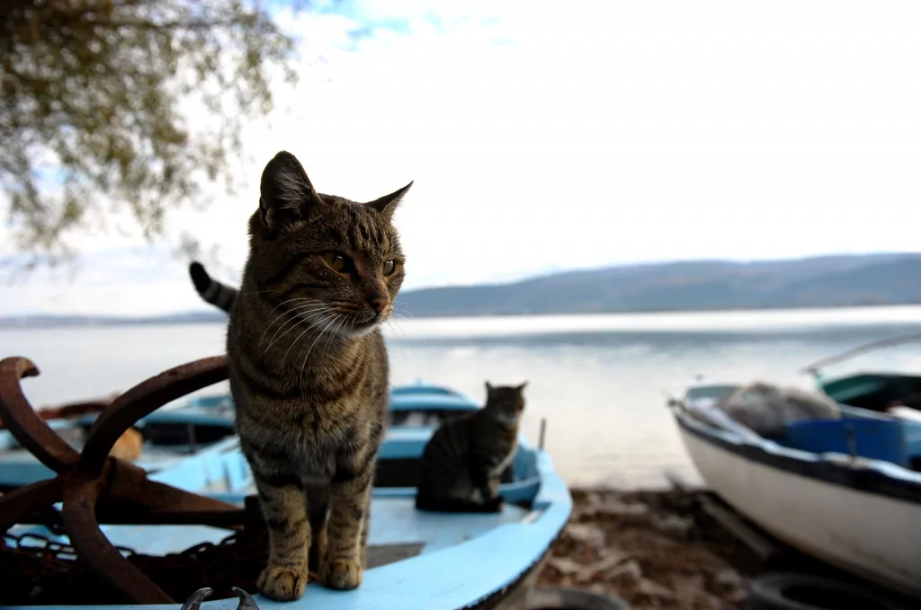 Bursa'nın bir başka cennet köşesi