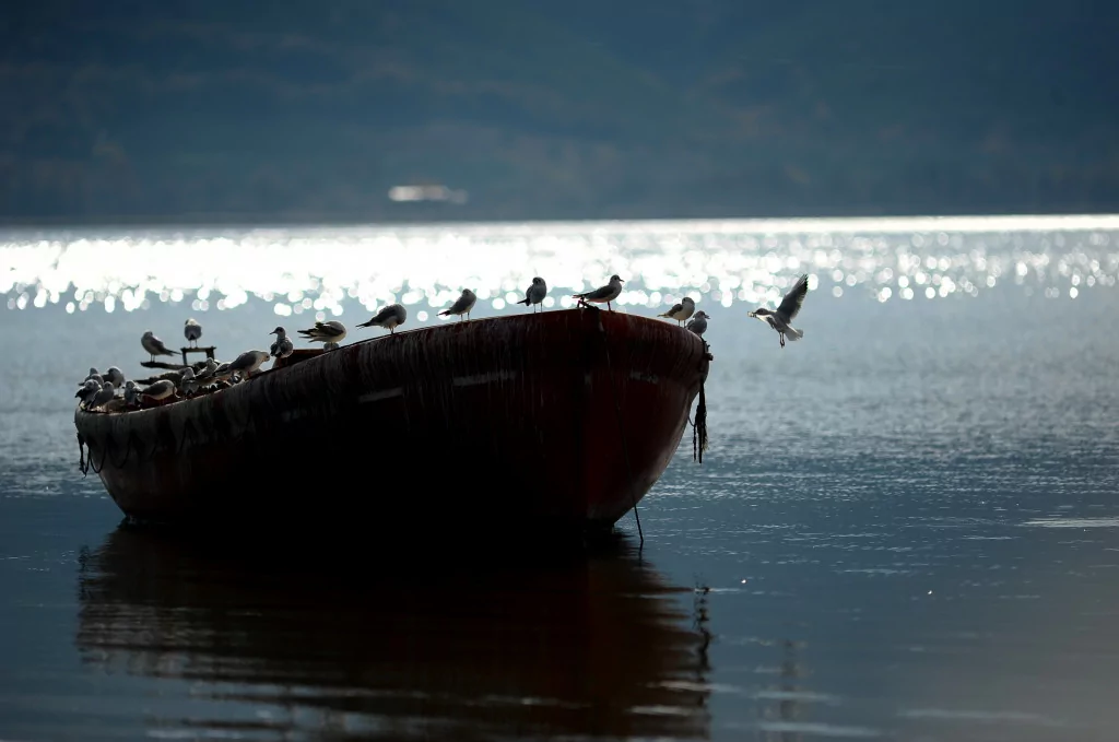 Bursa'nın bir başka cennet köşesi
