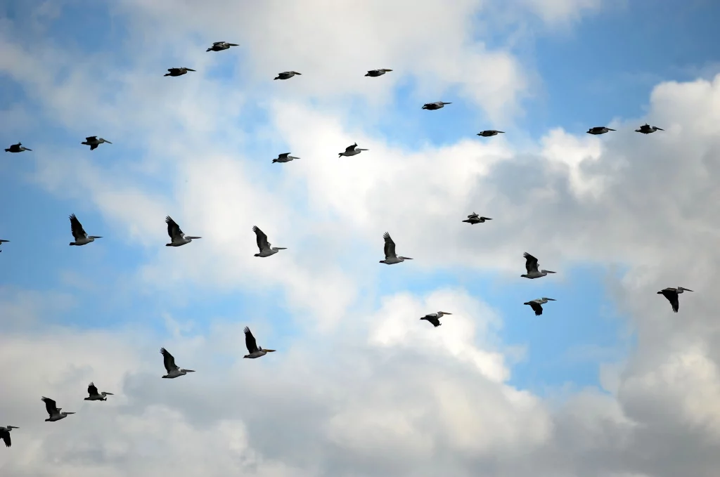 Bursa'nın bir başka cennet köşesi