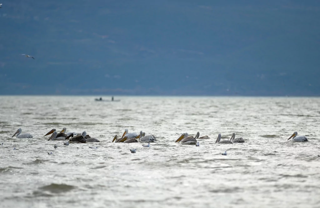 Bursa'nın bir başka cennet köşesi