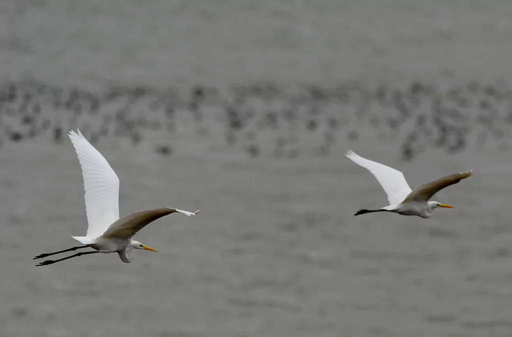 Bursa'nın bir başka cennet köşesi