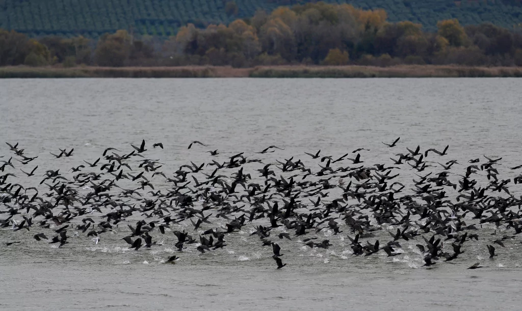 Bursa'nın bir başka cennet köşesi