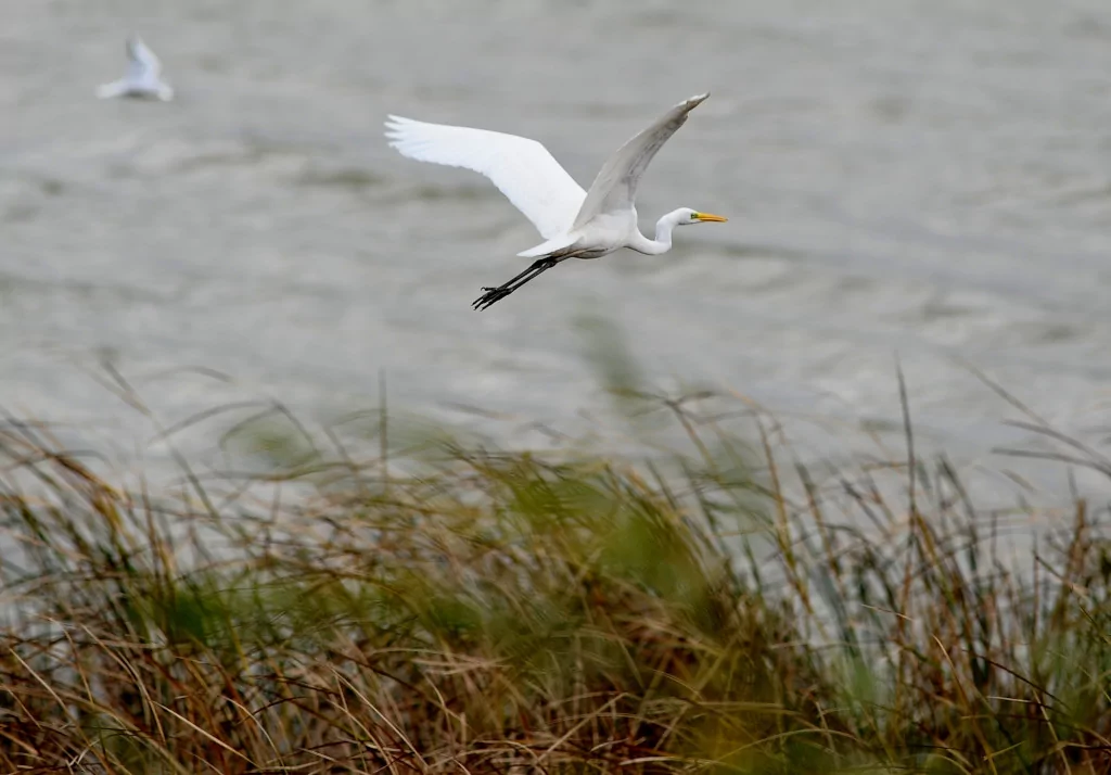 Bursa'nın bir başka cennet köşesi