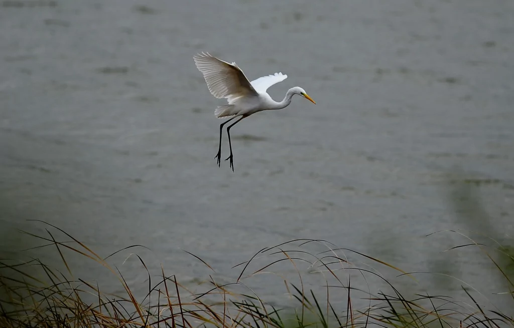 Bursa'nın bir başka cennet köşesi
