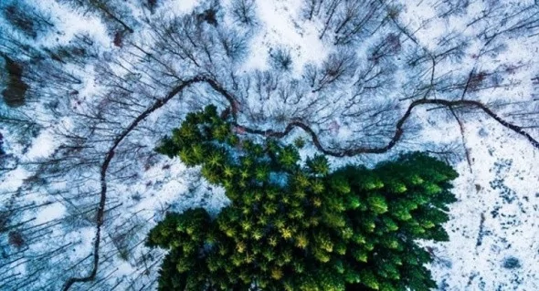 Dünyanın en iyi drone fotoğrafları