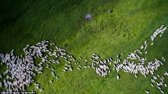 Dünyanın en iyi drone fotoğrafları