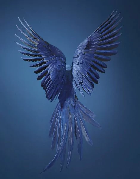 Nesli tükenmek üzere olan hayvanlar!