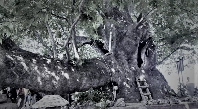 İşte Bursa Efsaneleri