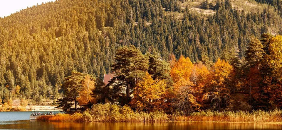 Türkiye'nin en güzel 10 sonbahar rotası