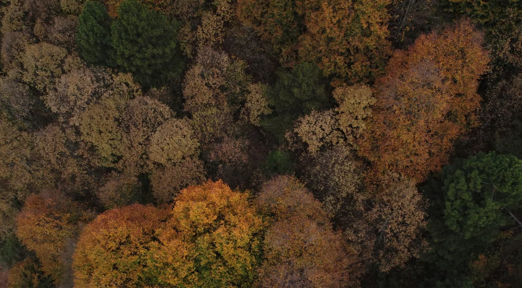 Uludağ'da iki günde iki mevsim!
