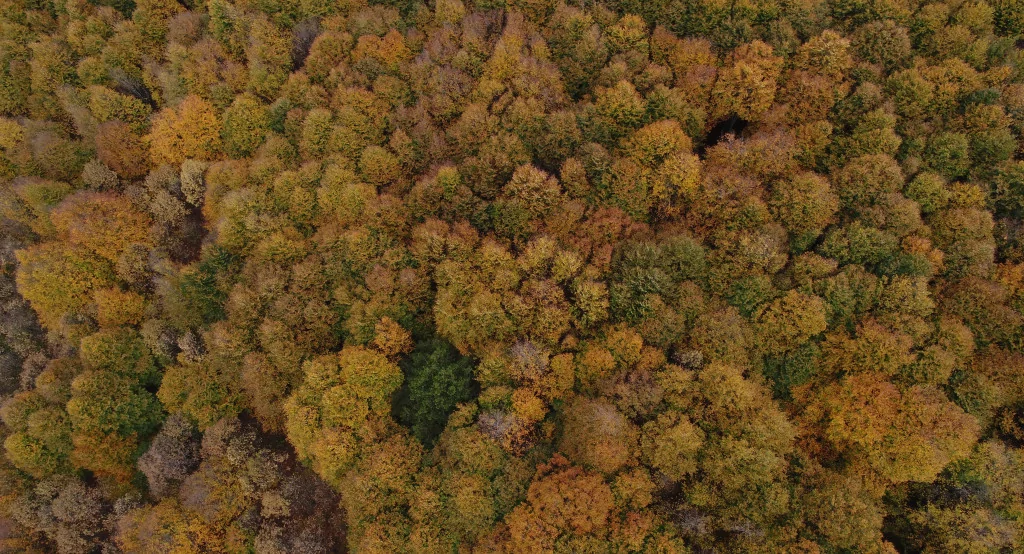 Uludağ'da iki günde iki mevsim!