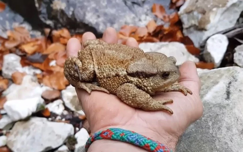 İşte Uludağ'ın görülmemiş güzellikleri!