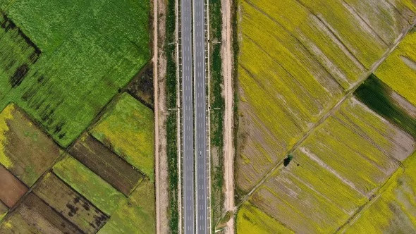 Hasat Öncesi Tarlalar Tabloları Aratmadı