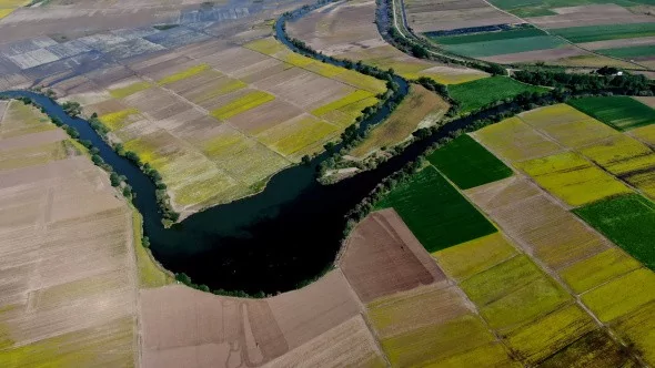Hasat Öncesi Tarlalar Tabloları Aratmadı