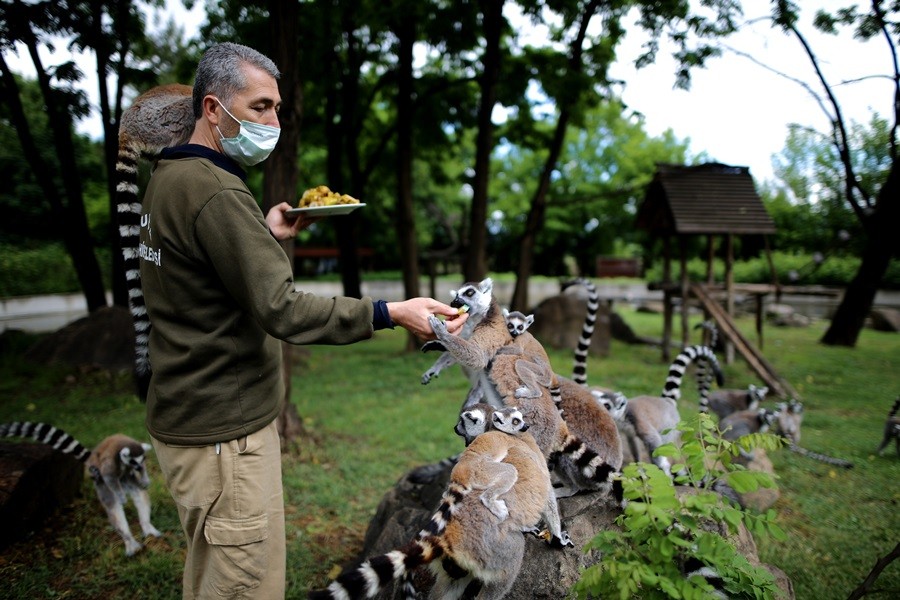 O sevimlilerin sayısı 30'a çıktı