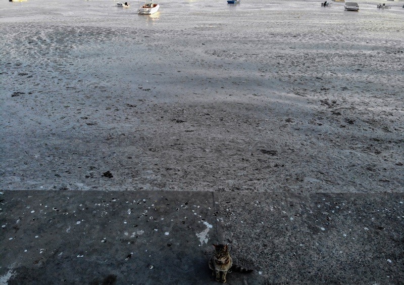 Felaketin son hali havadan görüntülendi