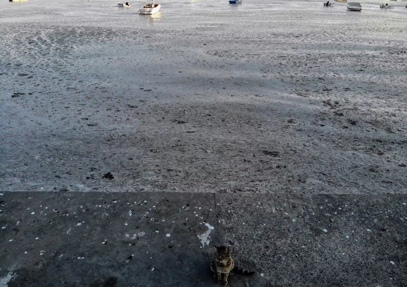 Felaketin son hali havadan görüntülendi