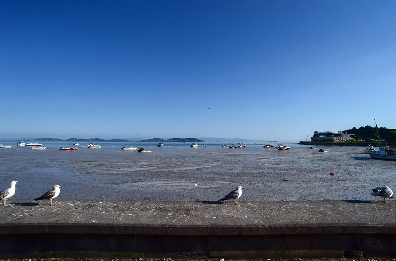 Felaketin son hali havadan görüntülendi