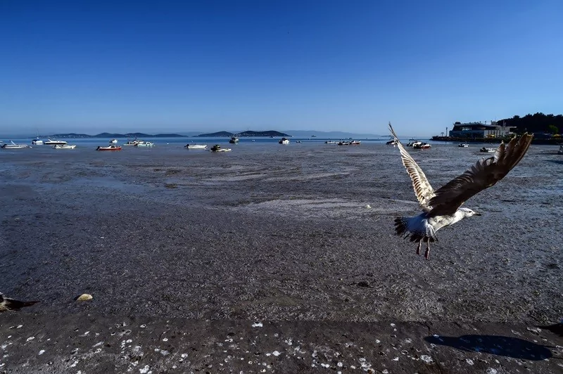 Felaketin son hali havadan görüntülendi