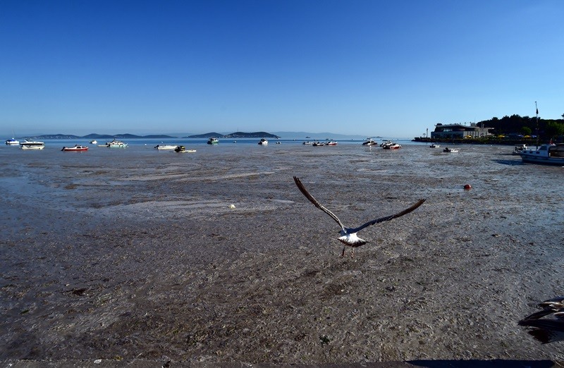 Felaketin son hali havadan görüntülendi