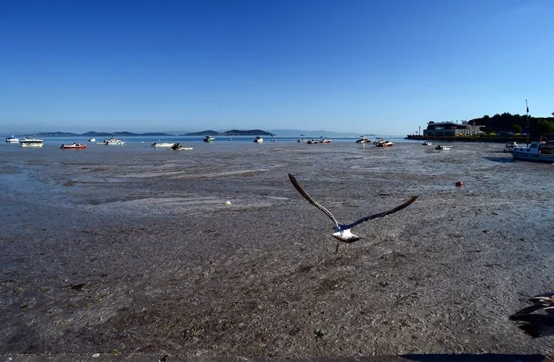 Felaketin son hali havadan görüntülendi