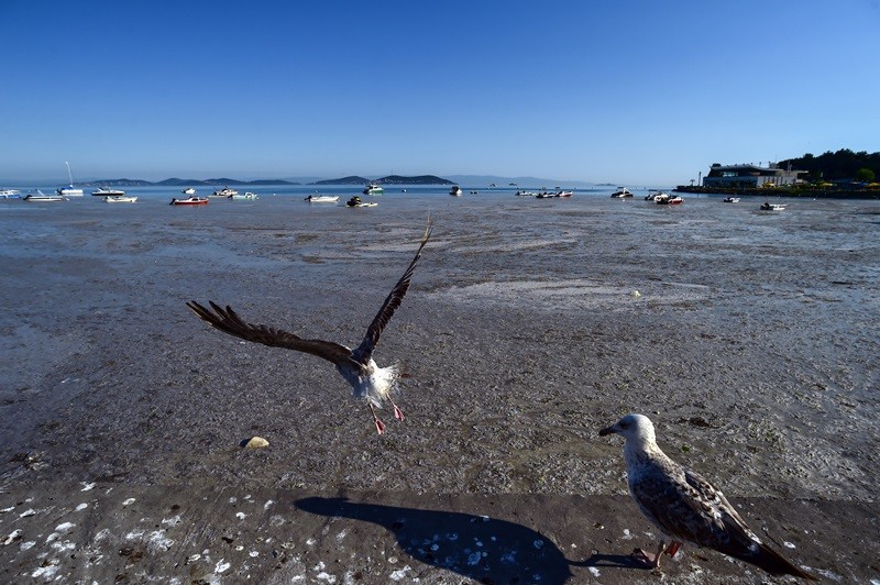 Felaketin son hali havadan görüntülendi