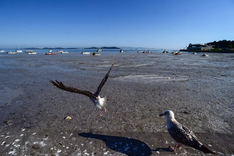 Felaketin son hali havadan görüntülendi