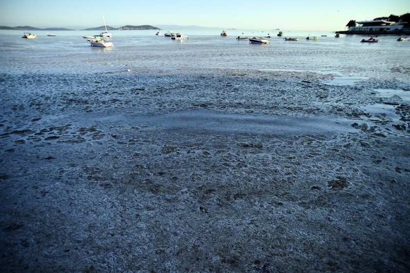 Felaketin son hali havadan görüntülendi