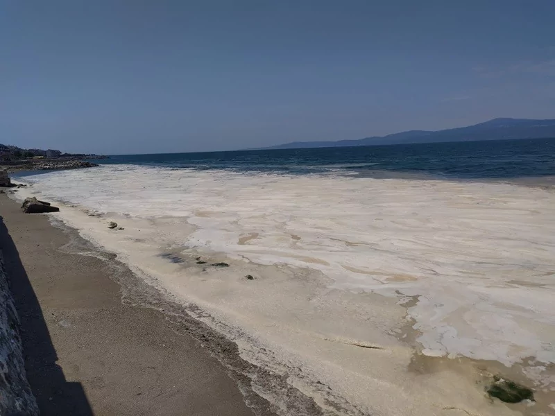 Bursa'da müsilaj manzaralı sahil keyfi