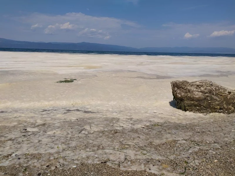 Bursa'da müsilaj manzaralı sahil keyfi