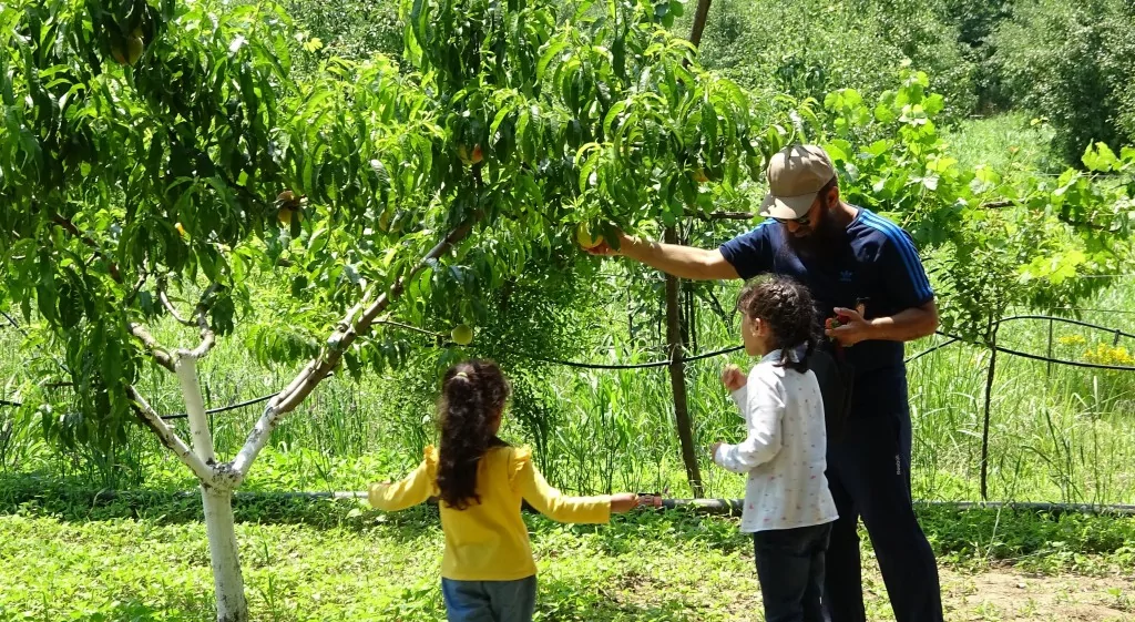 Turistler bu bahçeyi çok seviyor