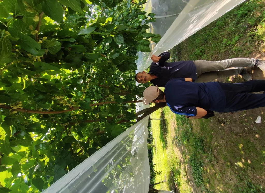 Turistler bu bahçeyi çok seviyor