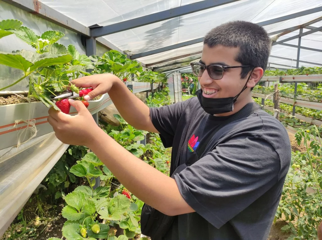 Turistler bu bahçeyi çok seviyor