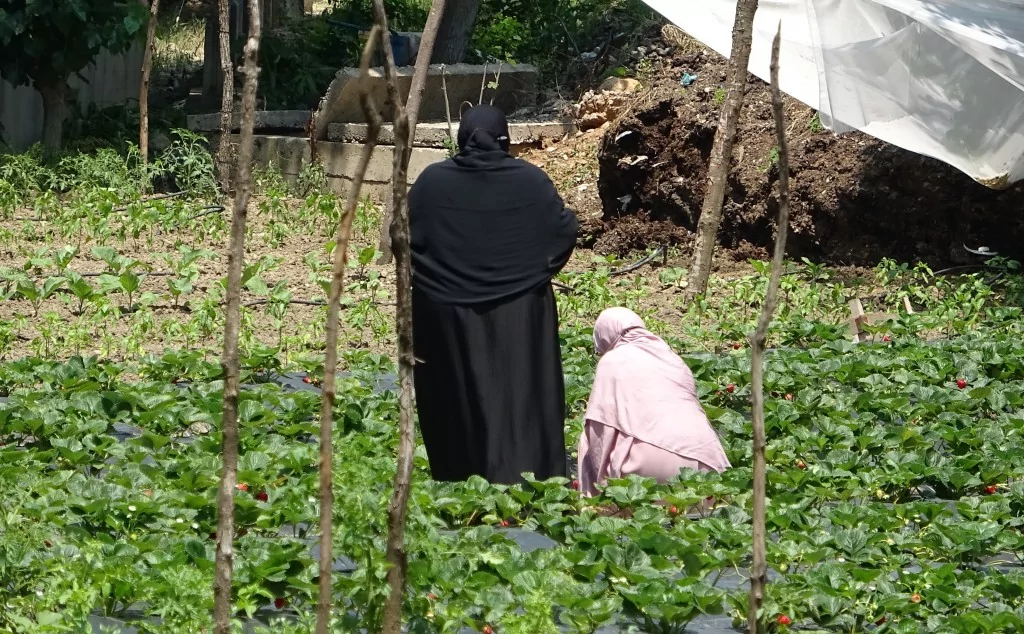 Turistler bu bahçeyi çok seviyor