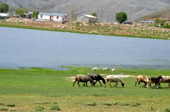 Dipsizgöl ve Eğrigöl yapılaşma tehdidi altında