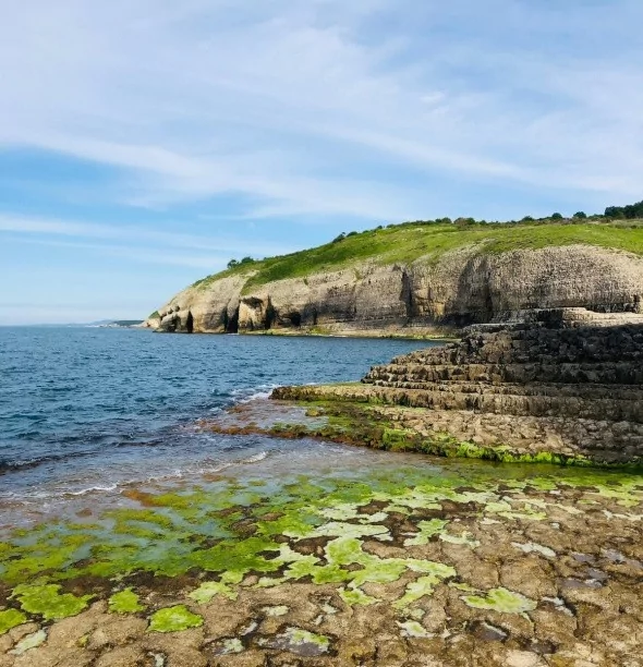 İstanbul'un yanı başındaki saklı cennet
