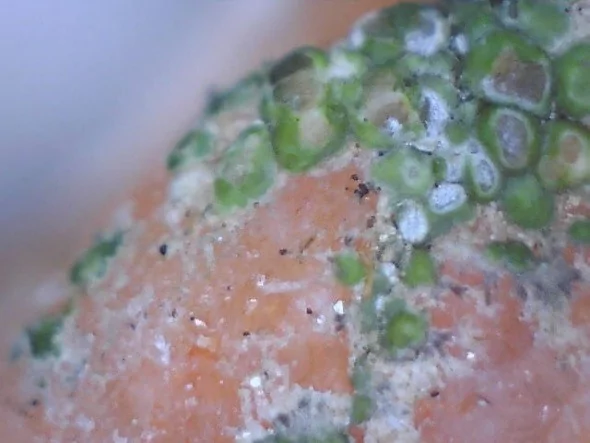 Denizli'nin altında hazine yatıyor