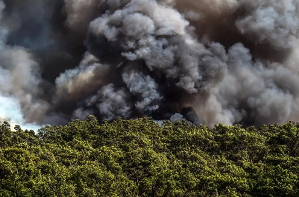 Alevlere teslim olan Marmaris'ten acı veren kareler