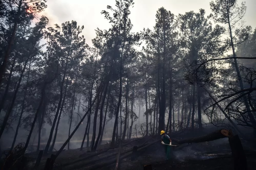 Alevlere teslim olan Marmaris'ten acı veren kareler