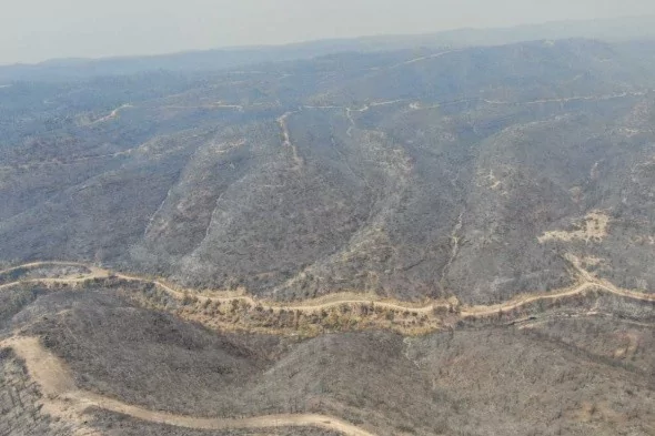 Manavgat'ta söndürülen alanlar böyle görüntülendi