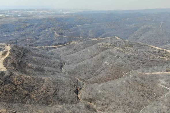 Manavgat'ta söndürülen alanlar böyle görüntülendi