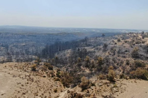 Manavgat'ta söndürülen alanlar böyle görüntülendi