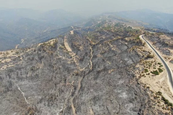 Manavgat'ta söndürülen alanlar böyle görüntülendi